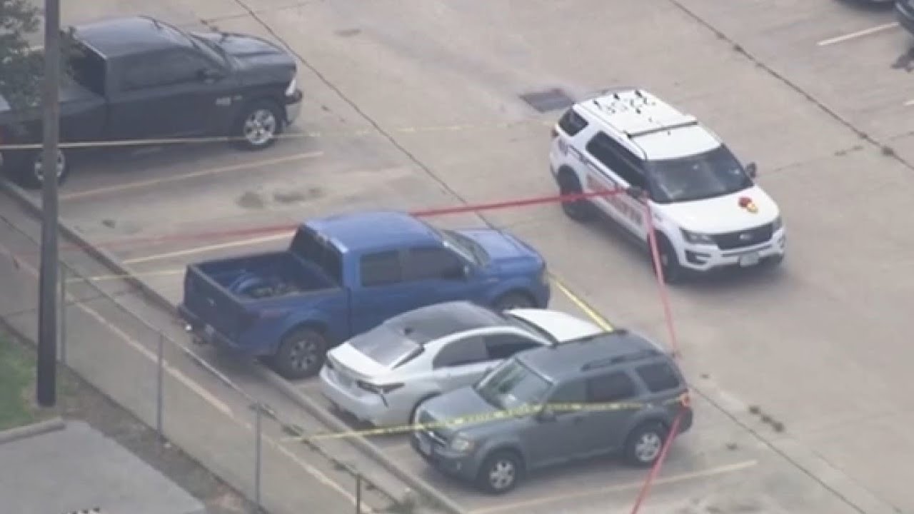 Mom charged with murder after girl dies from being in TX hot car: docs ...
