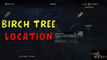 Where to get Birch Wood from Birch Tree in No Rest for the Wicked - How to Craft Birch Planks