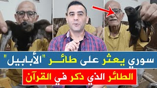 سوري يعثر على طائر الأبابيل الذي ذكر في سورة الفيل في حديقة منزله