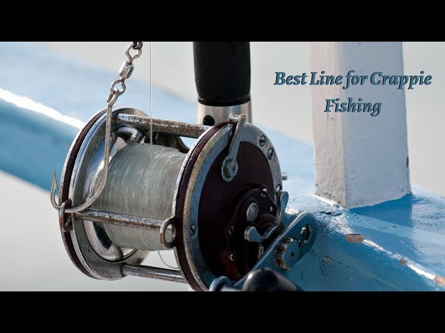 Best Line for Crappie Fishing - Top 5 Line of 2021 