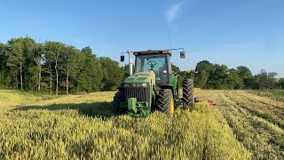 Cutting wheat with the 8230