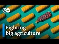 Understanding the Control of Seeds in Modern Agriculture