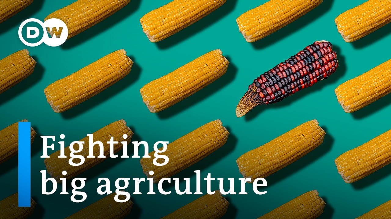 How big agriculture is taking over our diets YouTube