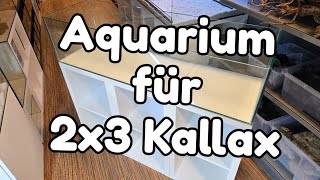 Aquarium für IKEA 2x3 Kallax - Auf diese Statik-Details muss man achten!