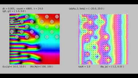 Pinning effect on quantum vortices in type-II superconductors