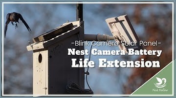 Install Nest Box Solar Panel for Blink Cameras