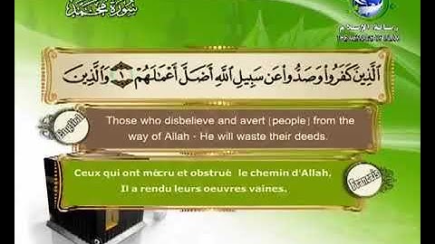 سورة محمد |الشيخ سعد الغامدي