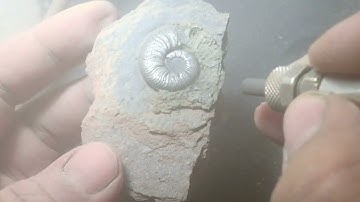 Pyrit Ammonite Sandblasting with iron powder pyrit fossils from jurassic