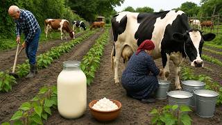 Milking a Cow by Hand – Pure Village Morning 🐄🥛