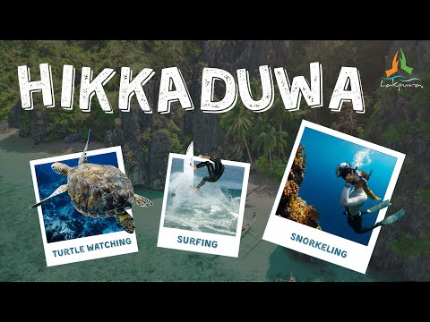 Hikkaduwa | Sri Lanka's Vibrant Coastal Town and Coral Sanctuary #hikkaduwa #turtle #turtles
