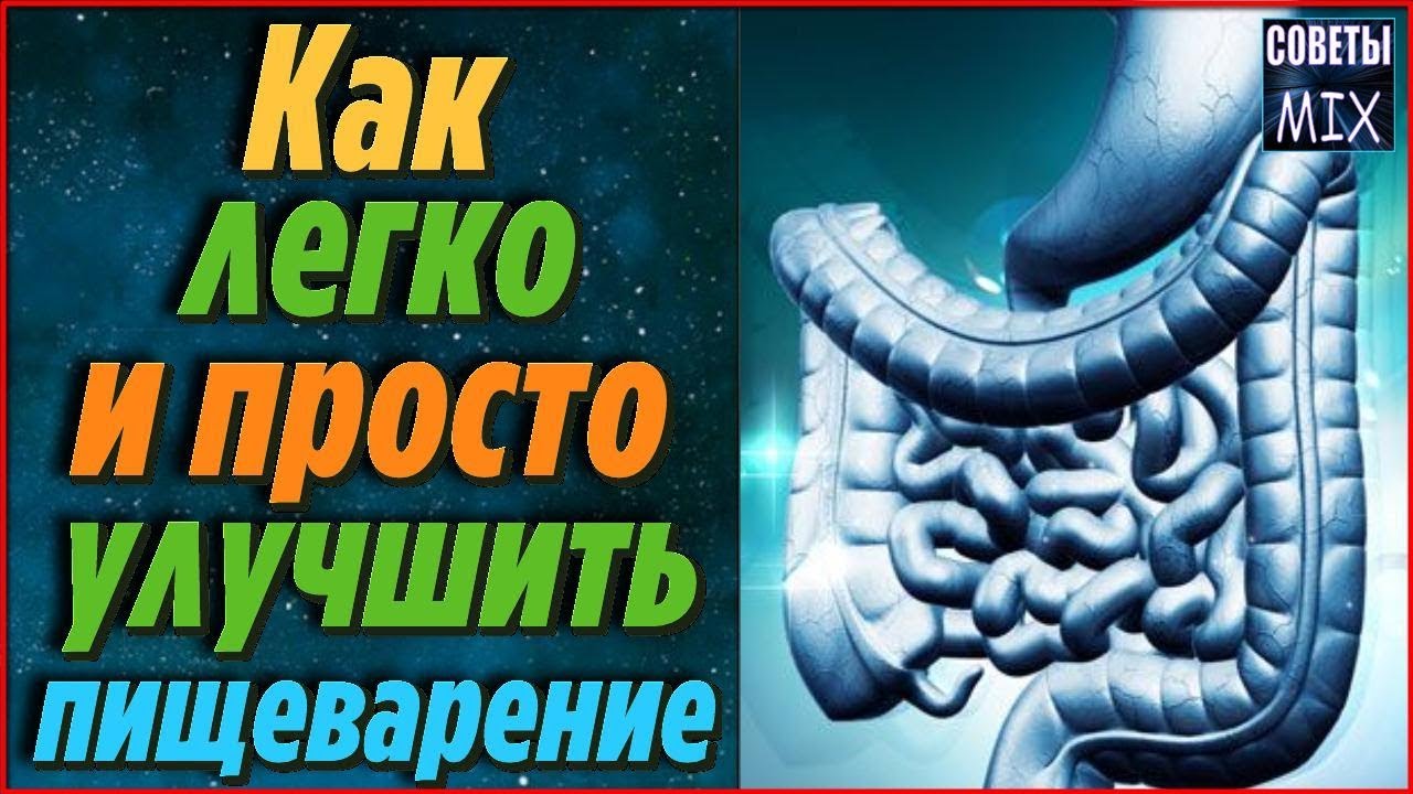 Как улучшить пищеварение с помощью самых простых продуктов Полезные ...