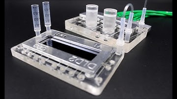 Separation of Biological Particles in a Modular Platform of Cascaded Deterministic Lateral