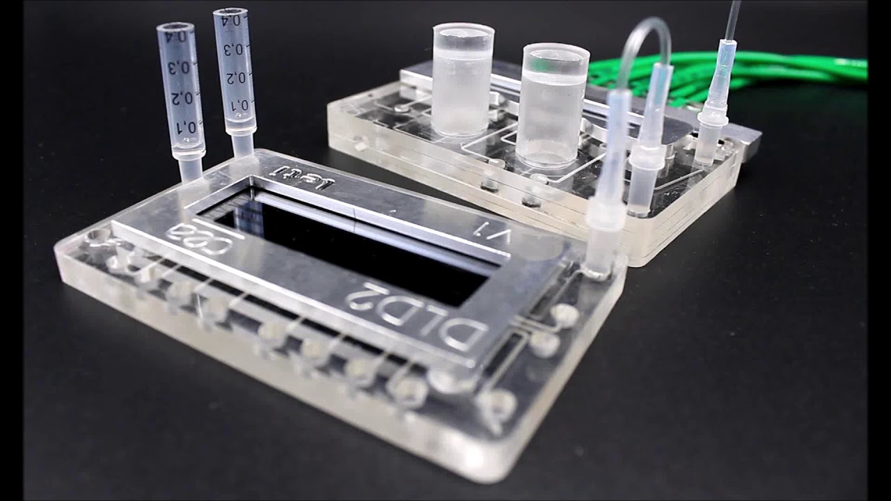 Separation of Biological Particles in a Modular Platform of Cascaded Deterministic Lateral