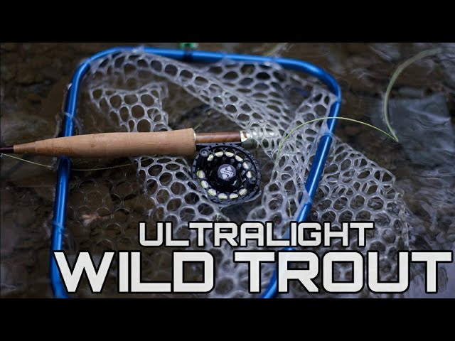 Fly Fishing for Beautiful Wild Small Stream Trout on Ultra Light