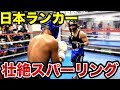 日本ランカー同士のハイレベルな攻防スパーリング【宇津木秀】
