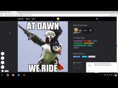 the-puffin-army-|-browsing-ifunny