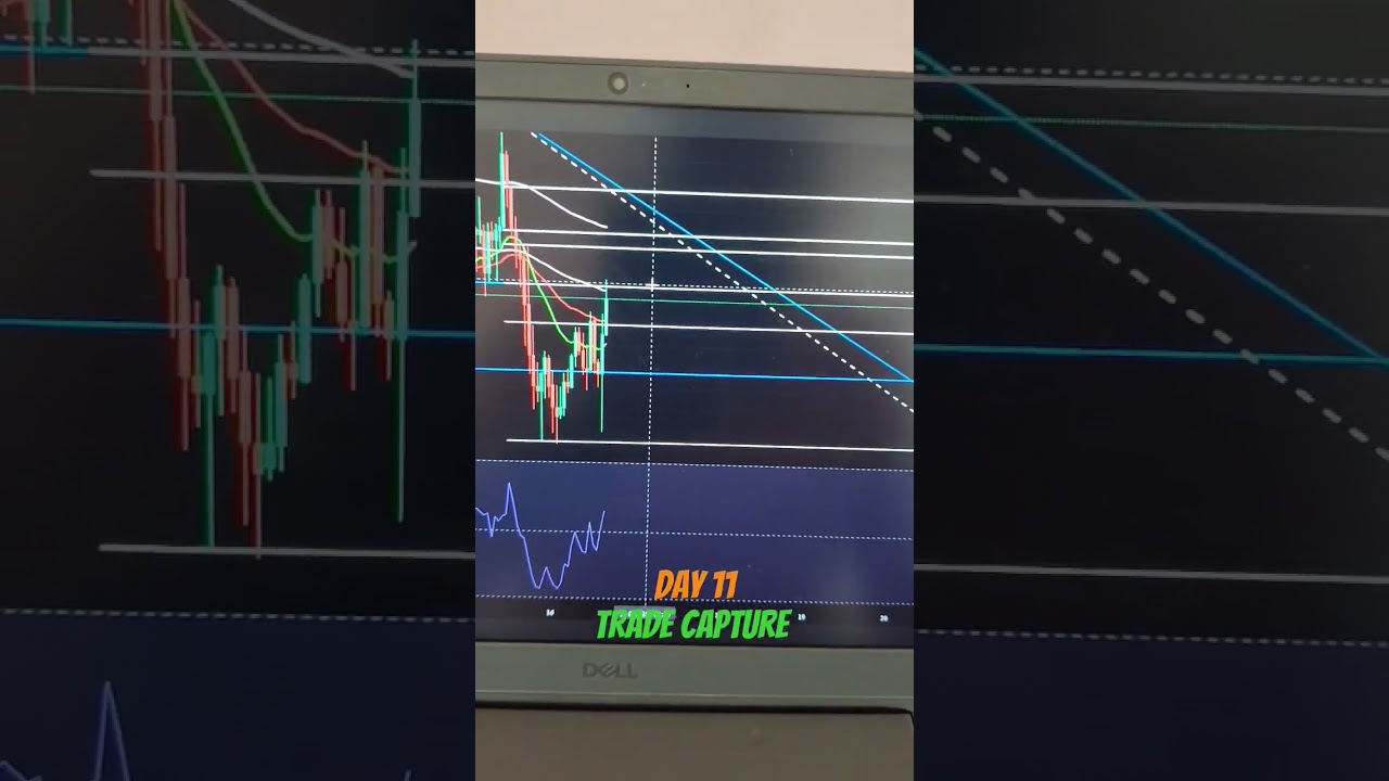 Trade Capture 💫🧿