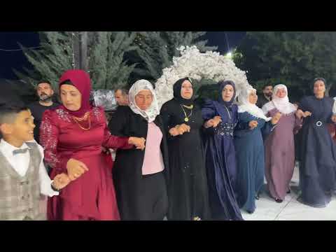 Diyarbakır Silvan Düğünü 2023