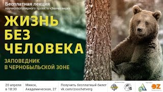 Зоочетверг: ЖИЗНЬ БЕЗ ЧЕЛОВЕКА: ЗАПОВЕДНИК В ЧЕРНОБЫЛЬСКОЙ ЗОНЕ