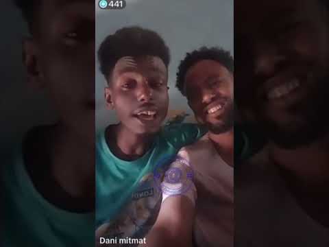 አስገራሚ ዘፈን ቅየሳ