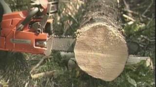 Safe Chainsaw Use  Kickback (Preview)