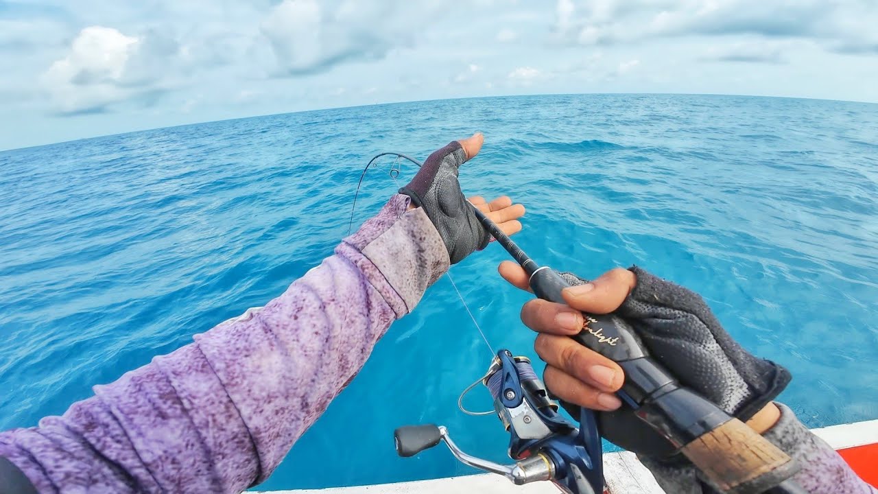 MICRO JIGGING DAPAT JEKPOT TAK TERDUGA🤑🤑🤑 TARIKAN IKAN INI MEMANG PATEN 