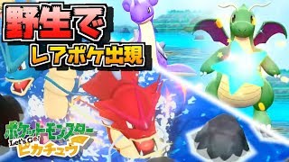 ピカブイ レア色ポケ続々出現 色違いギャラドスget レッツゴー ピカチュウ イーブイ ポケモン Youtube