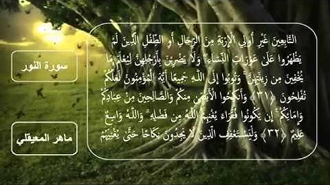 سورة النور كاملة مكتوبة - الشيخ ماهر المعيقلي
