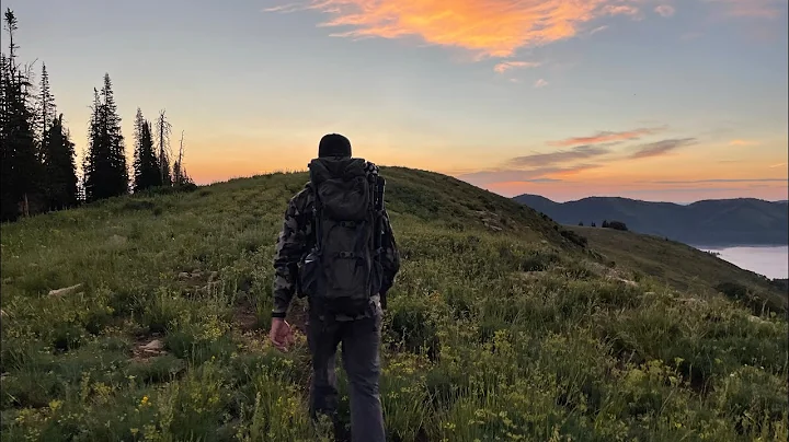 Scouting for Mule Deer - 7/2022