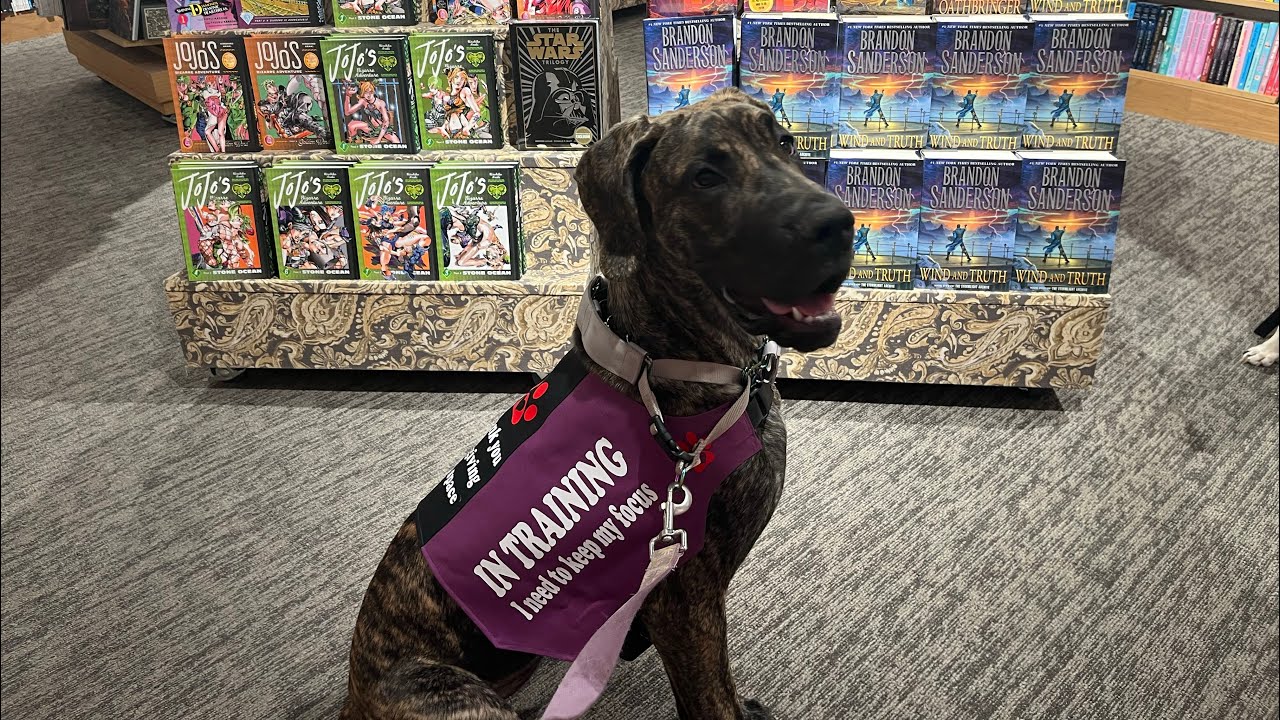 Hiking and Barnes and Noble with Ciel