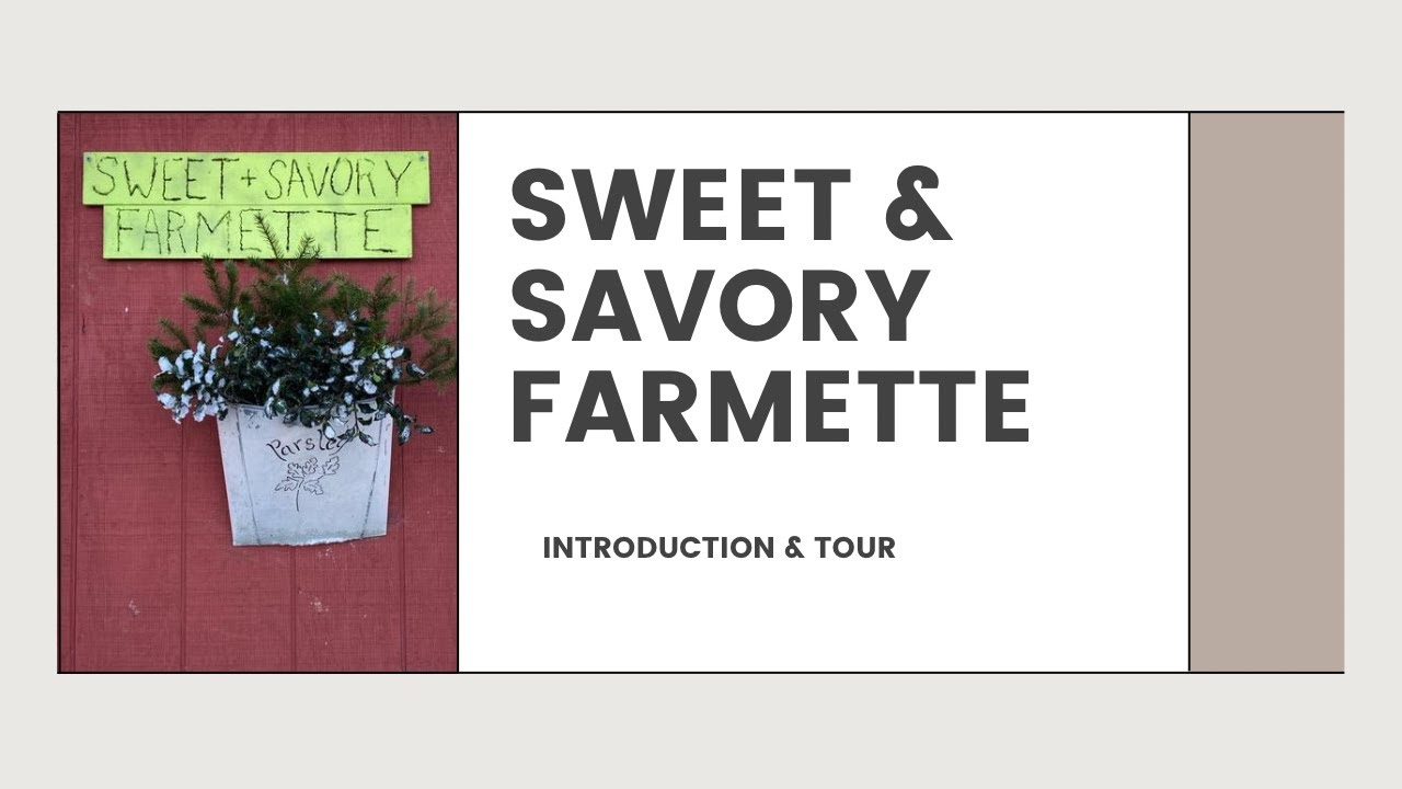 Introduction to Sweet & Savory Farmette and Tour (Part 1)