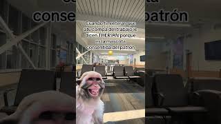 #tutorial #humor #memes #comedia #comentaycomparte #mono #monkey #fypシ #automobile #dúo #reels