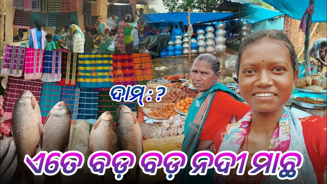 ଏତେ ବଡ଼ ବଡ଼ ନଦୀ ମାଛ || @tribevloggerrani9457 