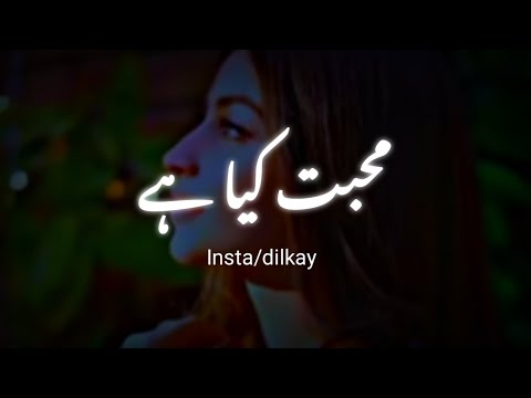 Mai tujhe kar ke dikhata ki mohabbat kiya hai   Love poetry  Urdu shayari  dilkay