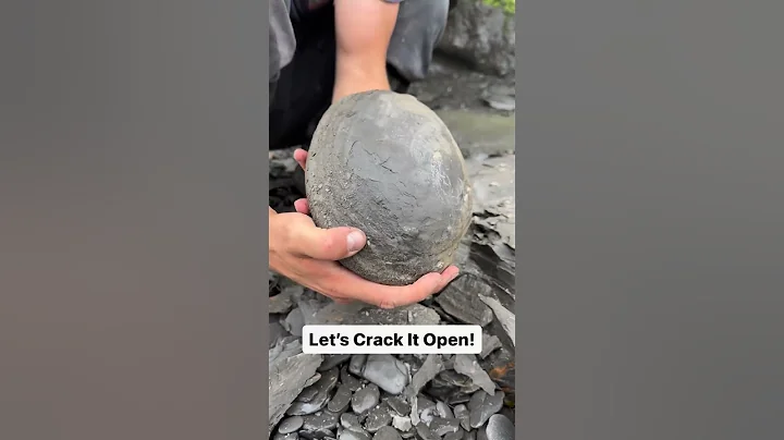 What's inside this Jurassic stone? #fossil  #rock  #viral  #gem  #geology  #crystals #shorts