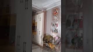 Roliga Djurvideor 2023 - Roligaste Hundar Och Katter Videor Försök Att Inte Skratta