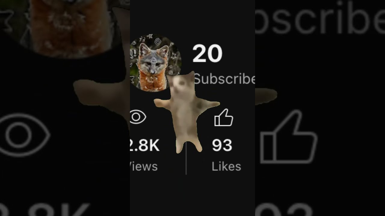 TYSM GUYS Therian Therianthropy Fyp Thanks Thankyou Shorts 
