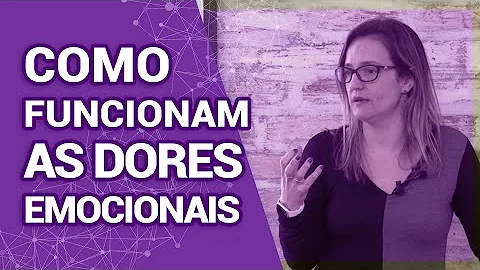 Como funciona o sistema emocional?