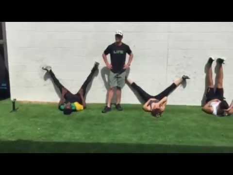 Dan Pfaff on the SOMA matrix, fascia slings & trains