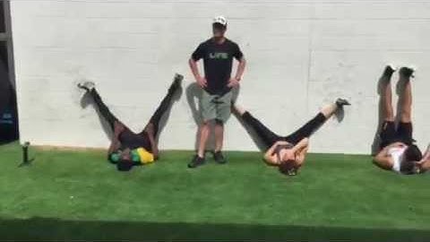 Dan Pfaff on the SOMA matrix, fascia slings & trains