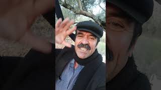 Gönül Yareler İçinde