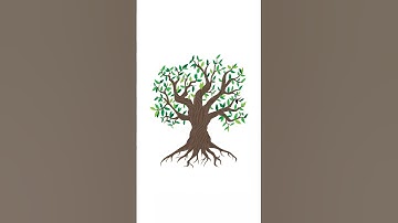 Random Swatch fill in illustrator | swatch fill script | illustrator tips | Scripts in illustrator