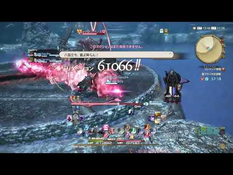 [FF14] 制限解除 極スサノオ 6.05ペア 赤学者