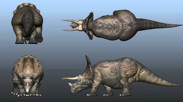 Triceratops walking cycle 3d