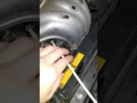 Zia Automotive Oil Change