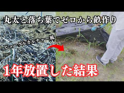 【開拓07】ゼロからの畑づくり！ヒューゲルカルチャー風の土づくりに1年挑んだリアルな結末【ヒューゲルカルチャー】 - cotucotu farm