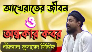 মৃত্যুর পরের জীবন ও অন্ধকার কবর কেমন হবে/pirzada junaid Siddiqui notun waz/2024 notun jolsa/ jolsa