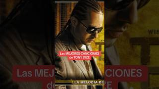 Las MEJORES CANCIONES de TONY DIZE #reggaeton #reggaetonviejito #tonydize