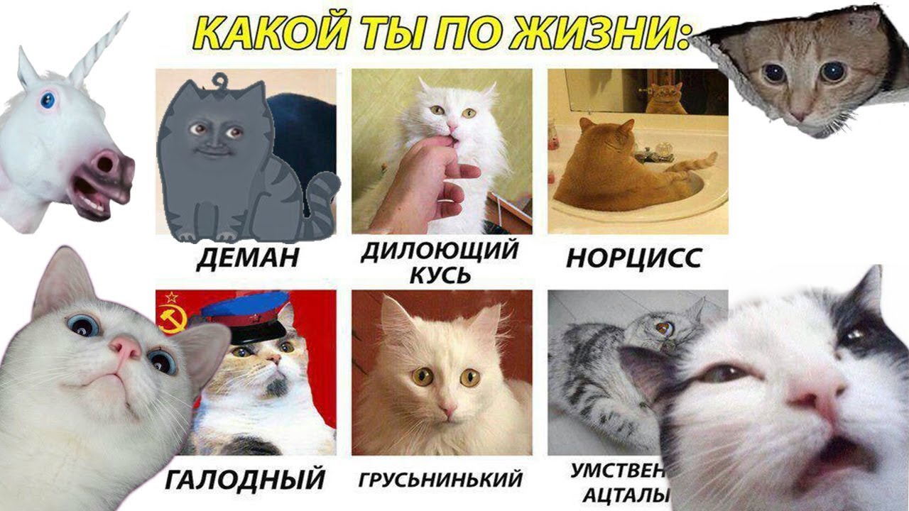 Тест какой ты мем 2025 года