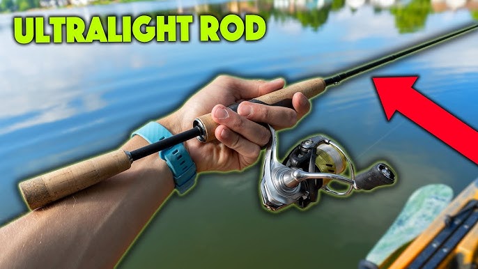 Fishing With The DAIWA PROCYON Ultralight Rod! 